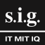 s.i.g - Stadt Ulm 